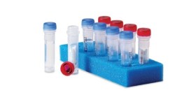 Cepa Acinetobacter Lwoffii - Atcc® 17925 - 1 X 5 Culti-Loops - Thermo Scientific